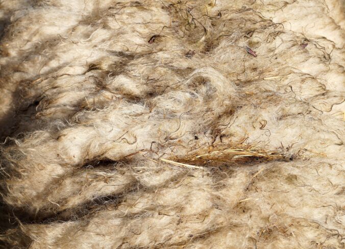 Bilden visar ett naturligt fårskinn. Bland olika fårskinn hittar du exempelvis en praktisk sittdyna i fårskinn och prydnadskuddar fårsskinnsfäll passar bra intill fårskinnsfåtöljen när du sitter och läser med sköna fårskinnstofflor på fötterna.